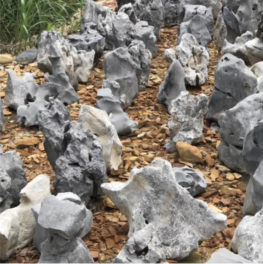 Taihu landscaping stone